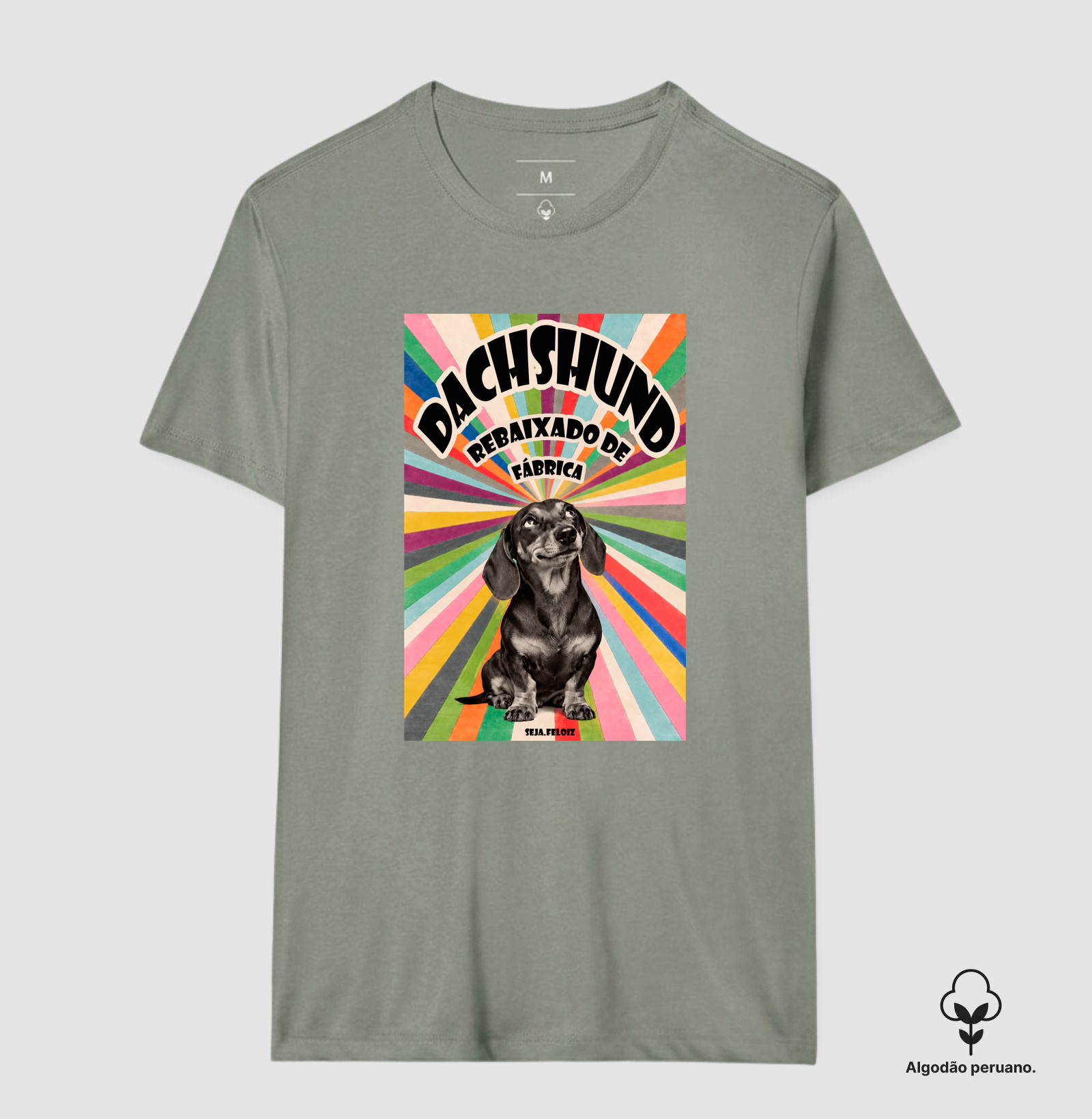 Dachshund Rebaixado de Fábrica  - Imagem 5