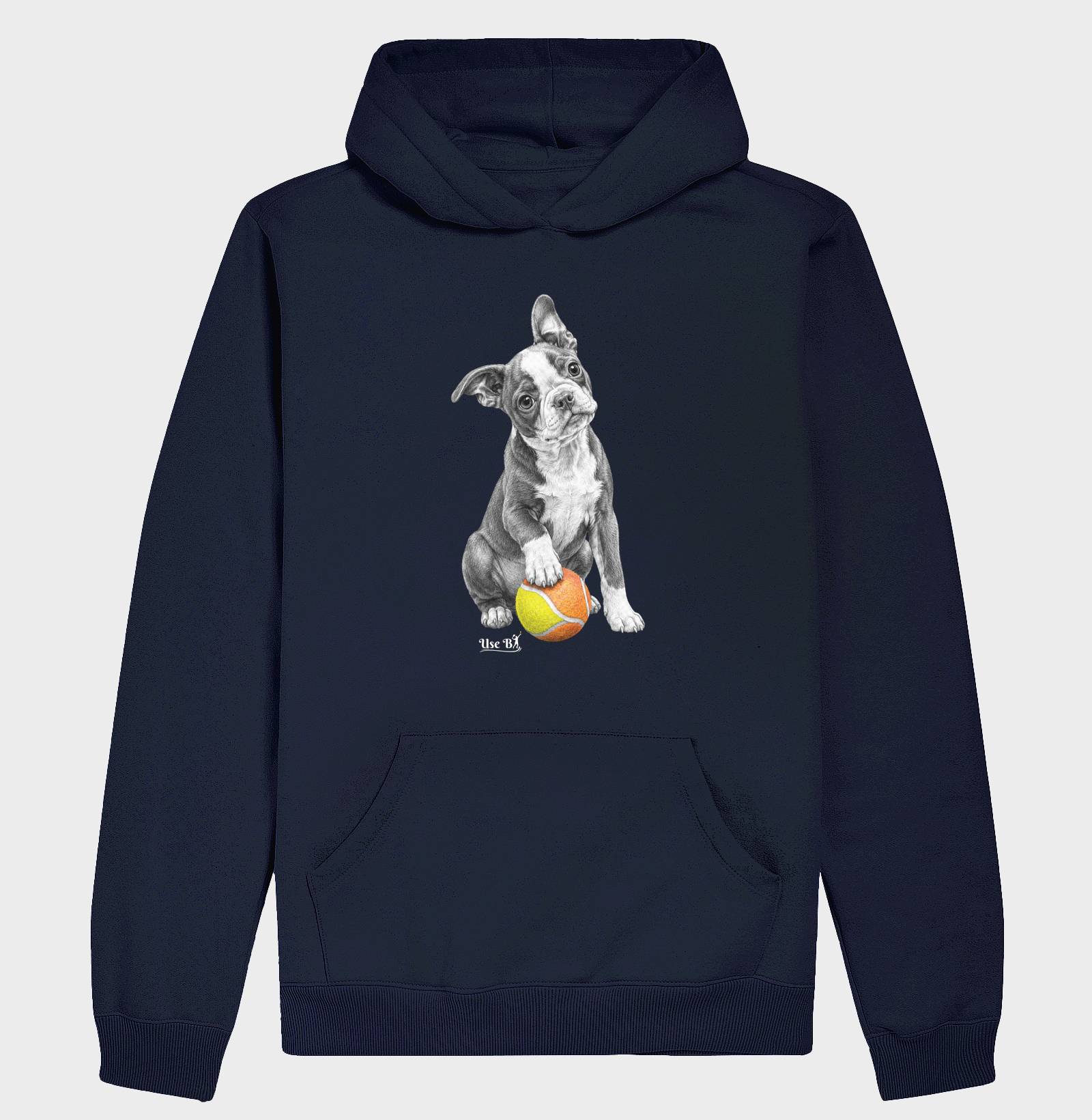 Boston Terrier do Beach - Imagem 4