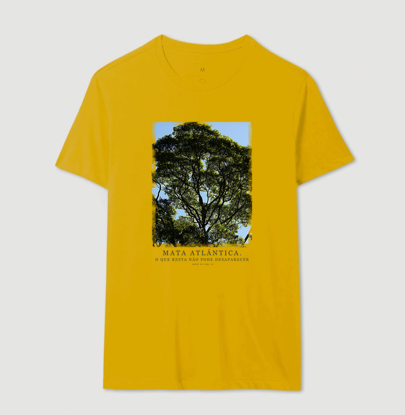 Mata Atlântica - Imagem 8