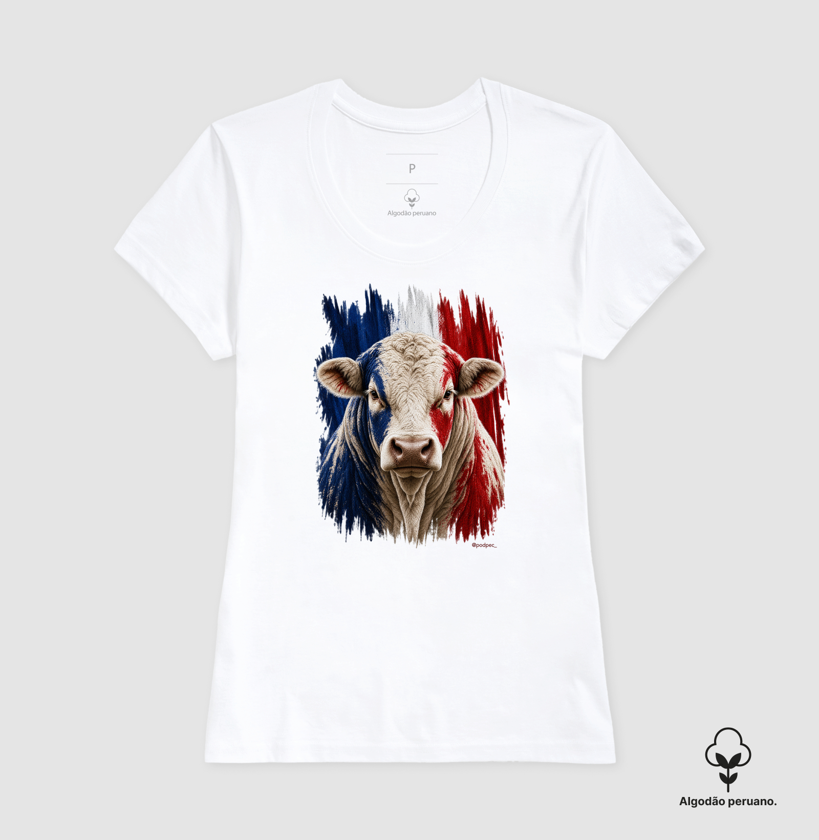 Charolês da França - Imagem 5