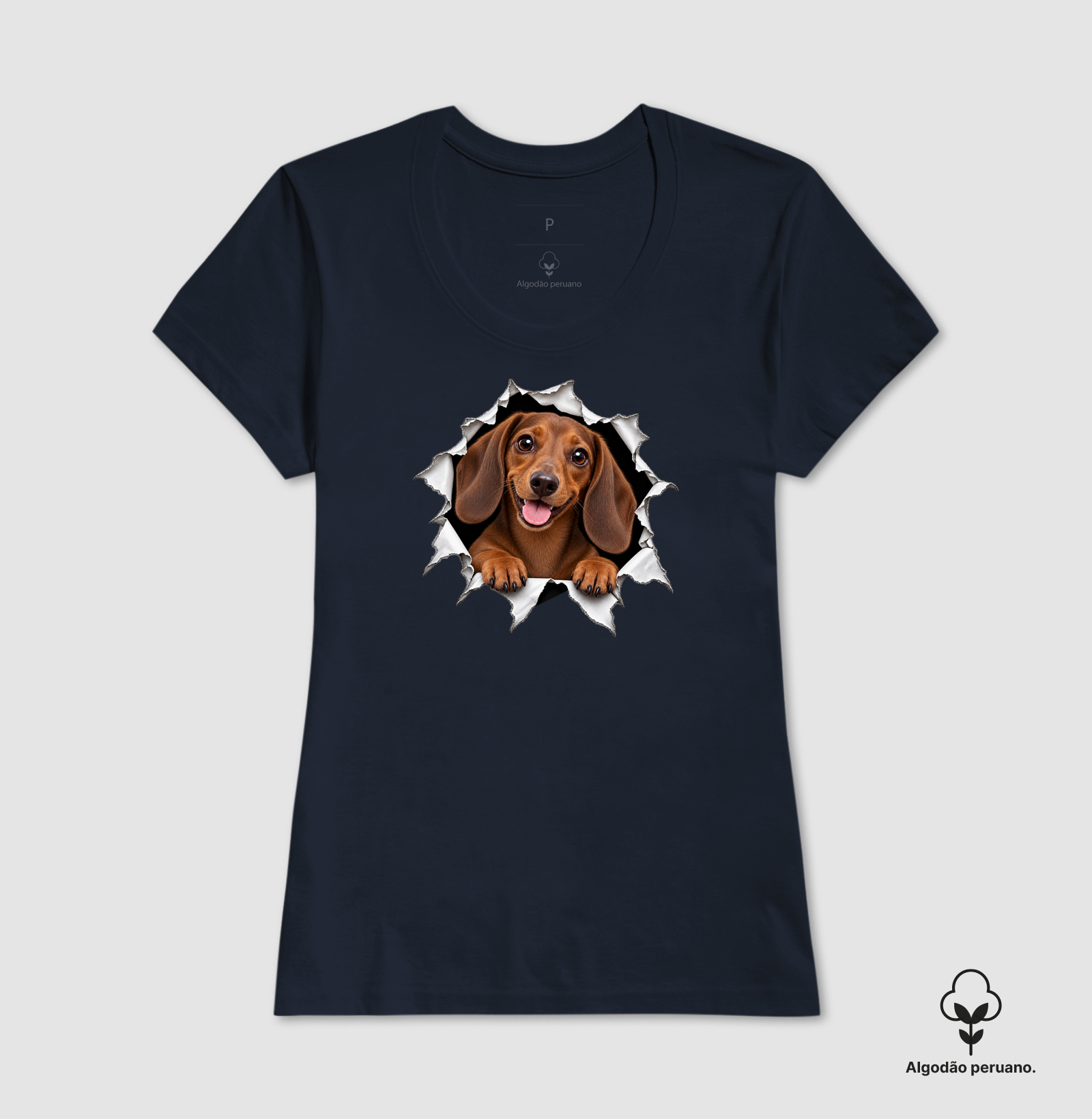 Dachshund Saindo Pelo Rasgo - Imagem 3
