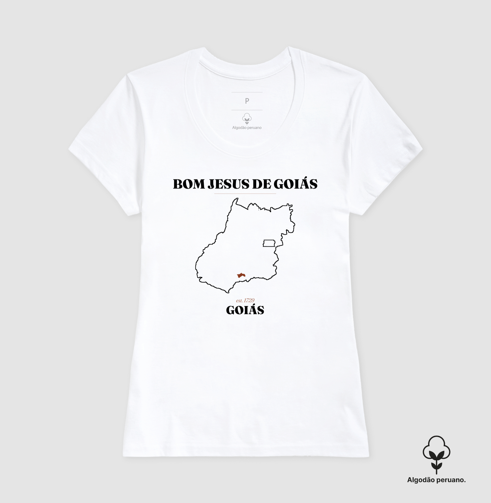 Bom Jesus de Goiás | Legado GO - Imagem 6