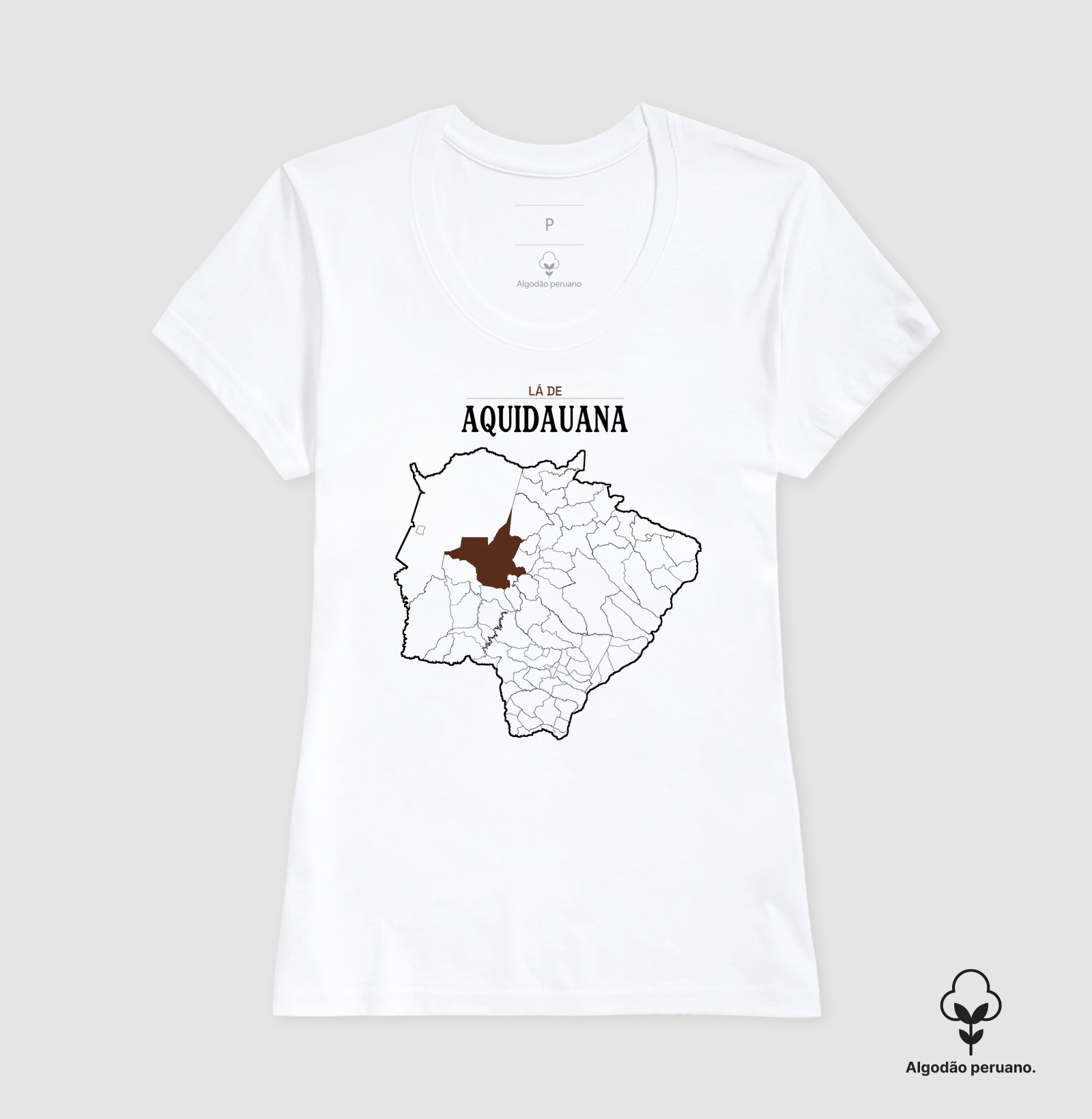 Aquidauana | Território MS - Imagem 9