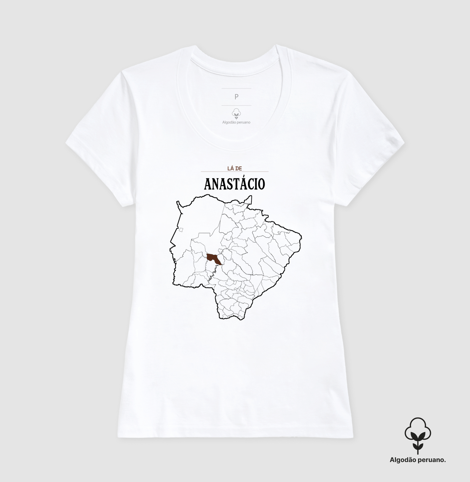 Anastácio | Território MS - Imagem 4