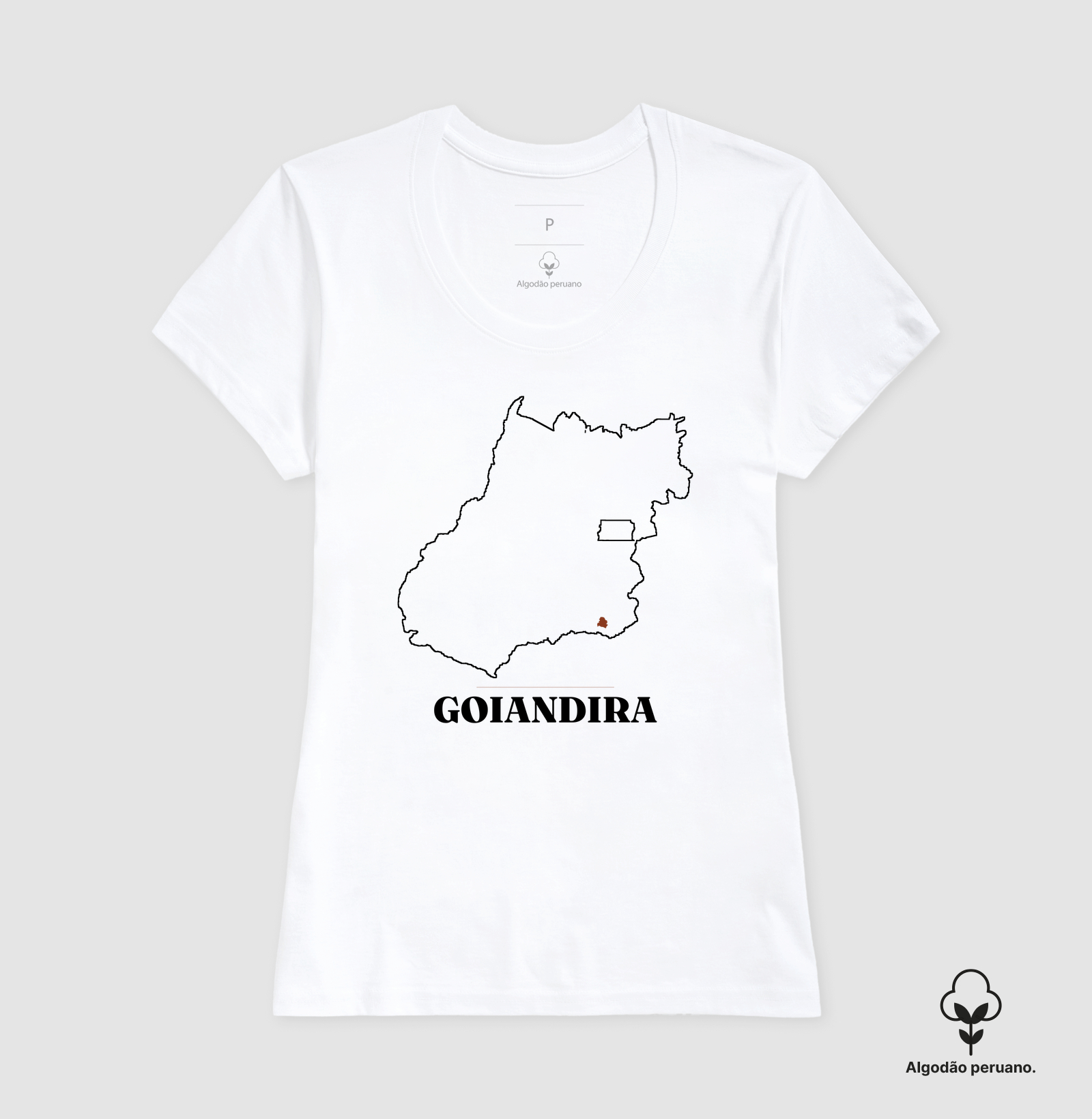Goiandira | Traço GO - Imagem 2