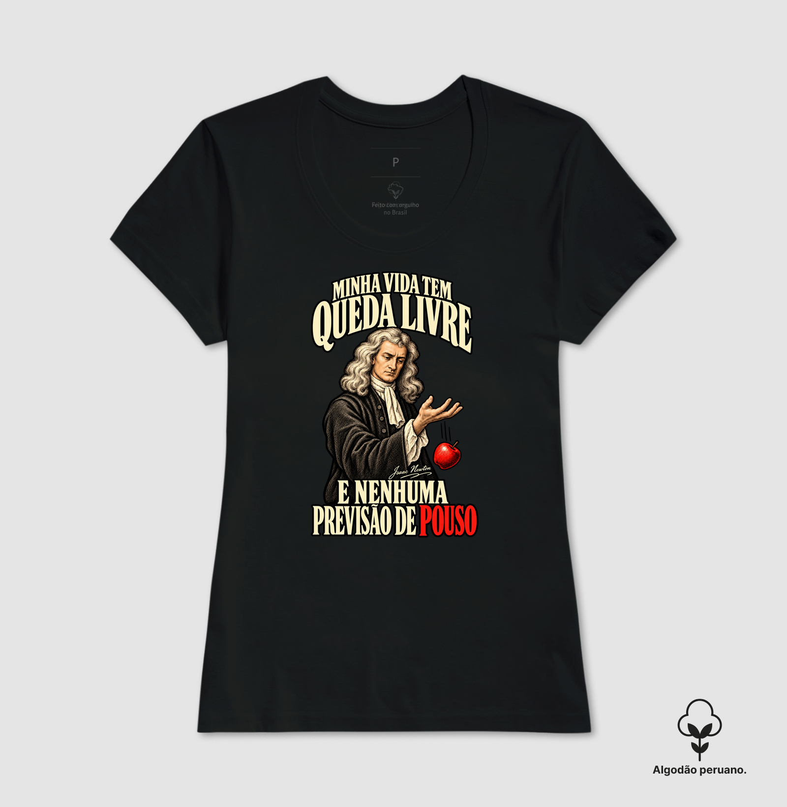 Vida tem Queda Livre - Isaac Newton - Imagem 5
