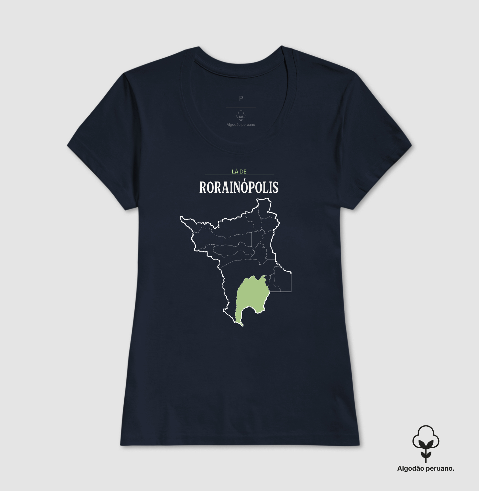 Rorainópolis | Território RR - Imagem 2