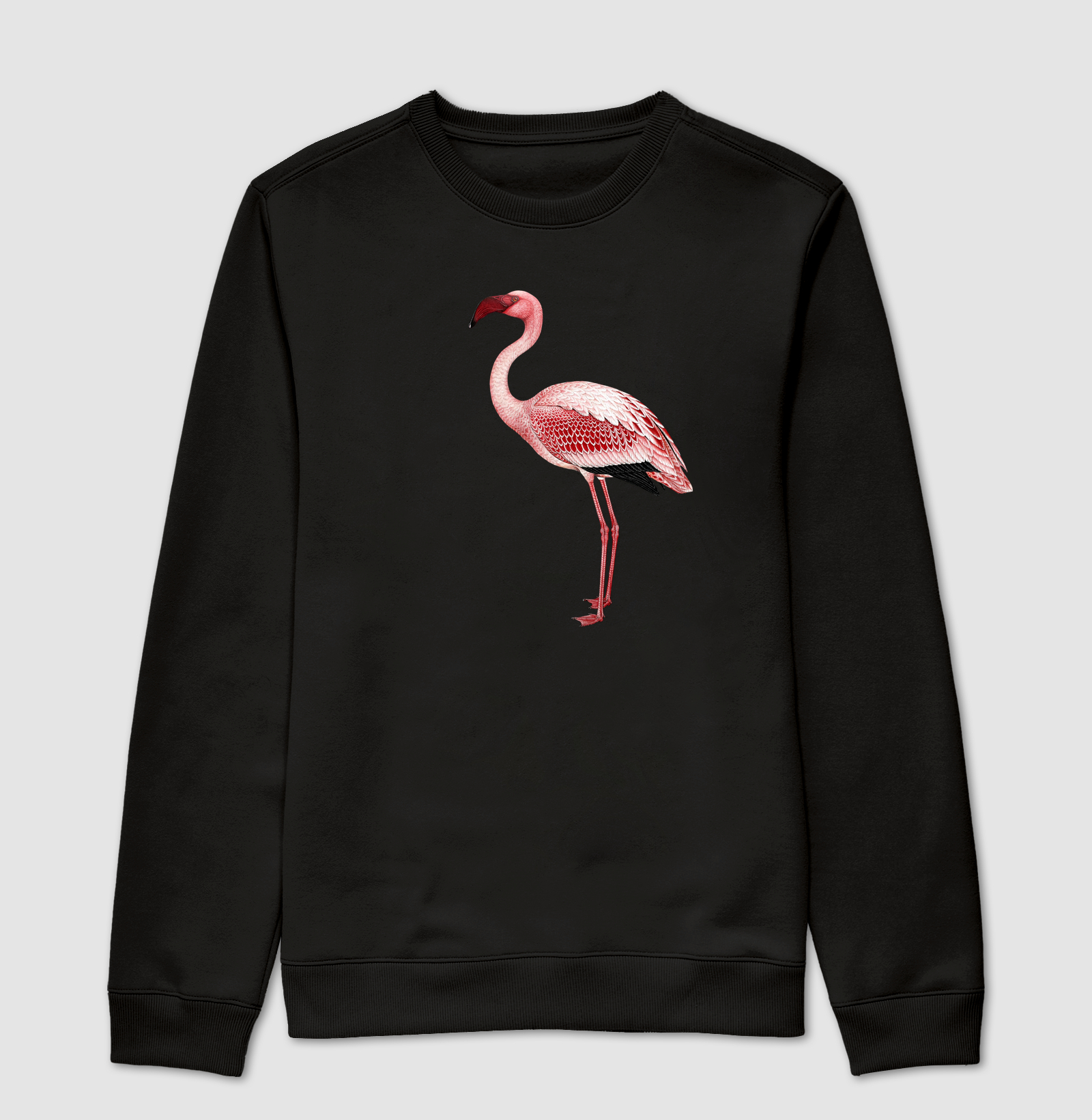Flamingo - Imagem 4