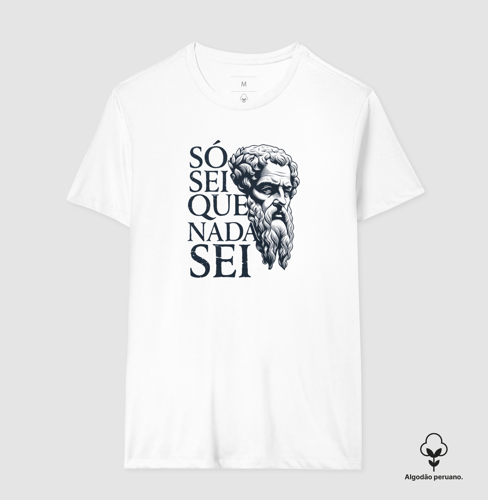 Filosofia de Sócrates "Só sei que nada sei" - Imagem 5