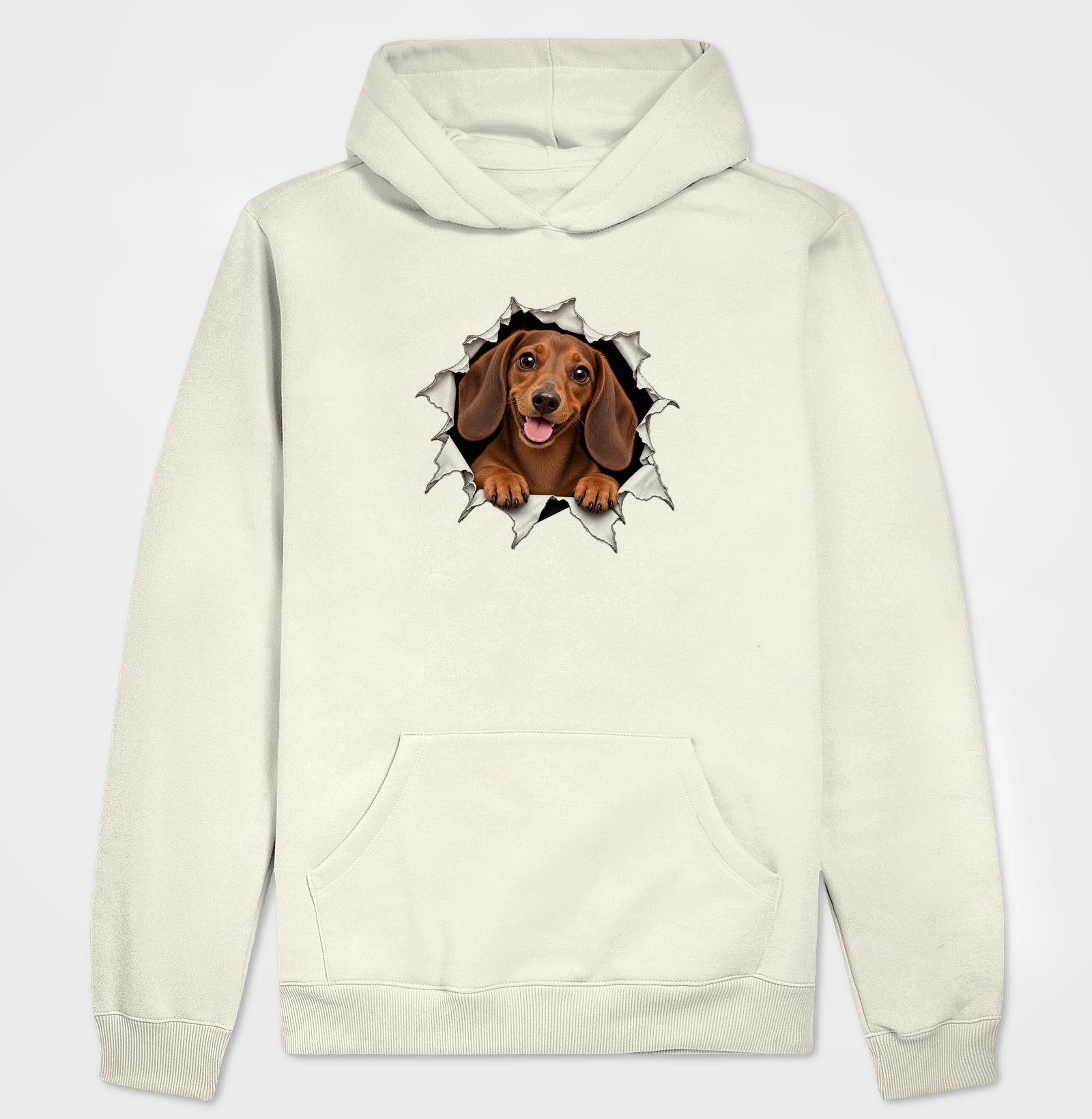 Dachshund Saindo Pelo Rasgo - Imagem 3