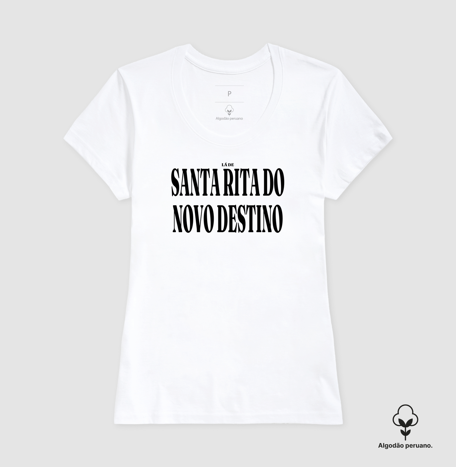 Santa Rita do Novo Destino | Tipografia GO - Imagem 6