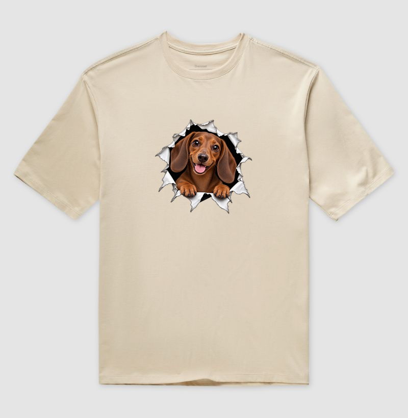 Dachshund Saindo Pelo Rasgo - Imagem 3
