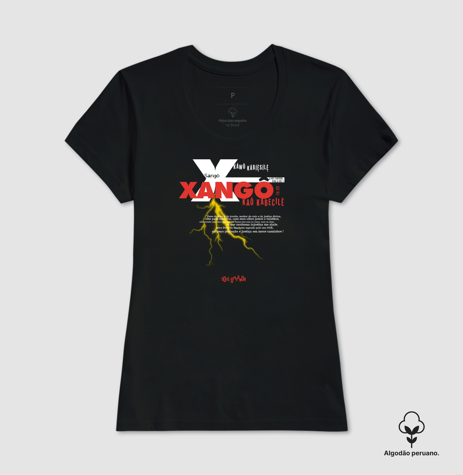 Camisa 1