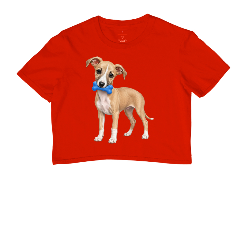 Whippet - Desenho Animado - Imagem 7