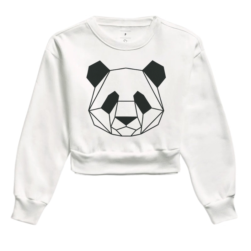 PANDA - Imagem 3