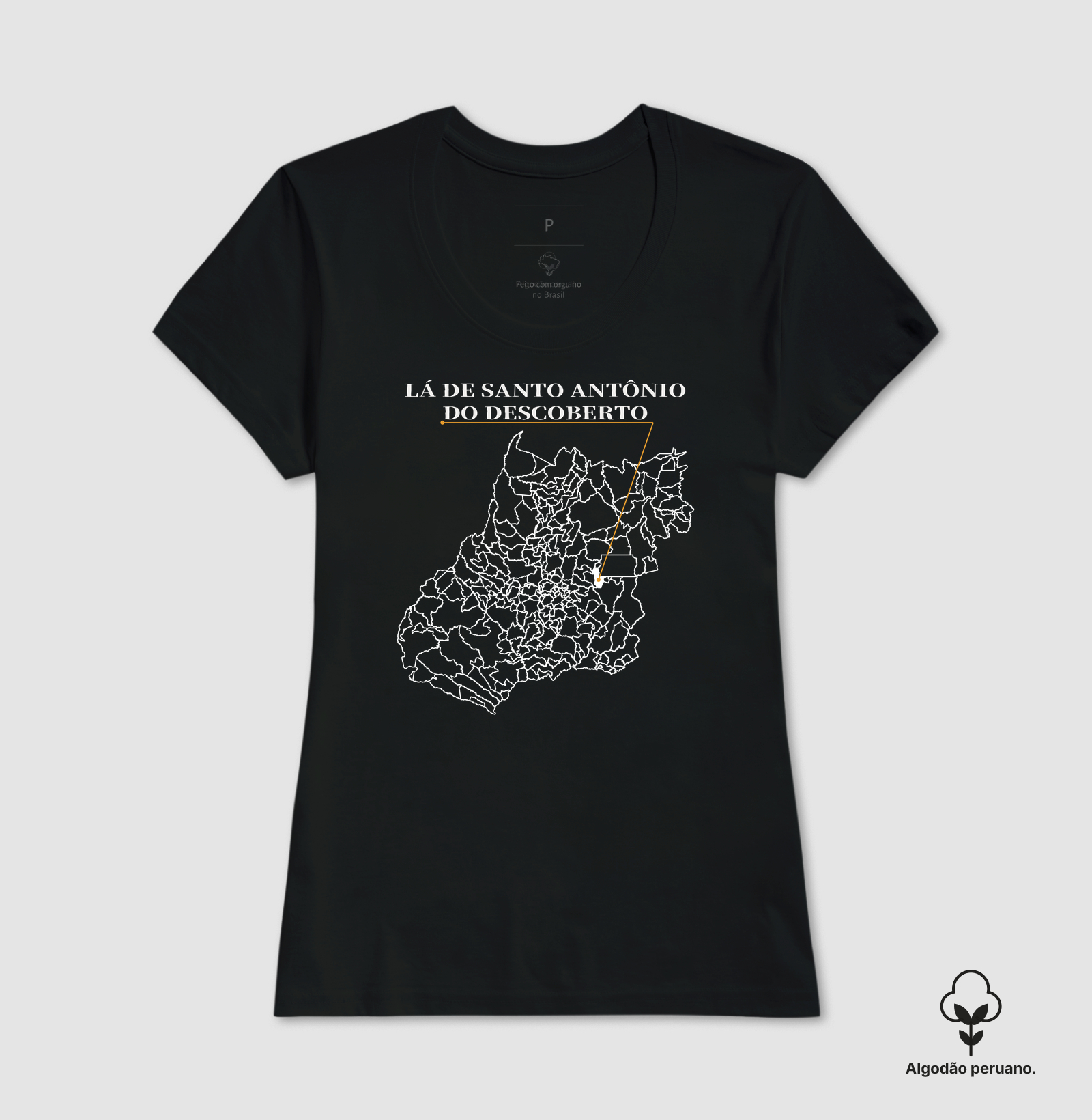 Santo Antônio do Descoberto | Origem GO - Imagem 6