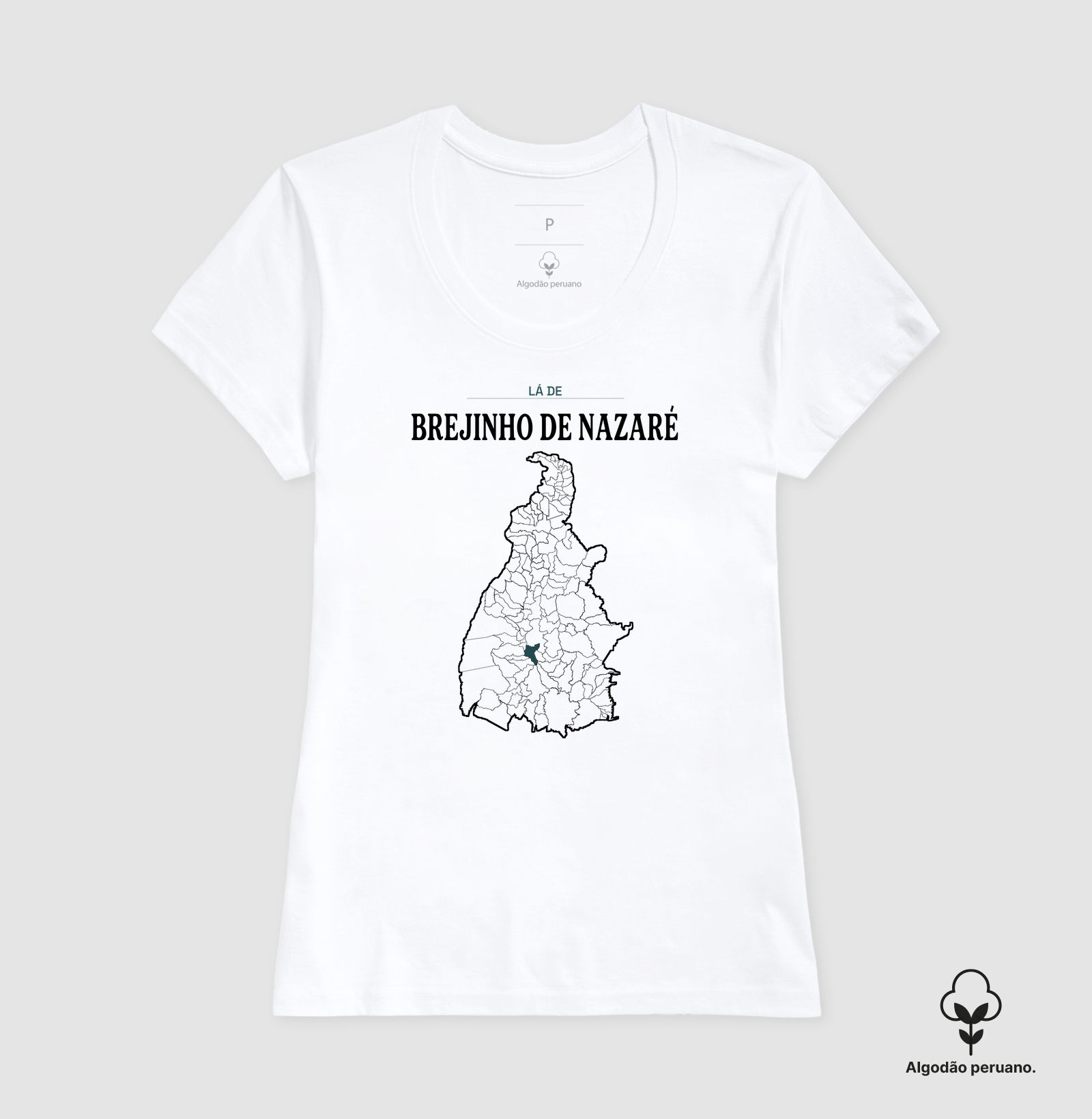Brejinho de Nazaré | Território TO - Imagem 4