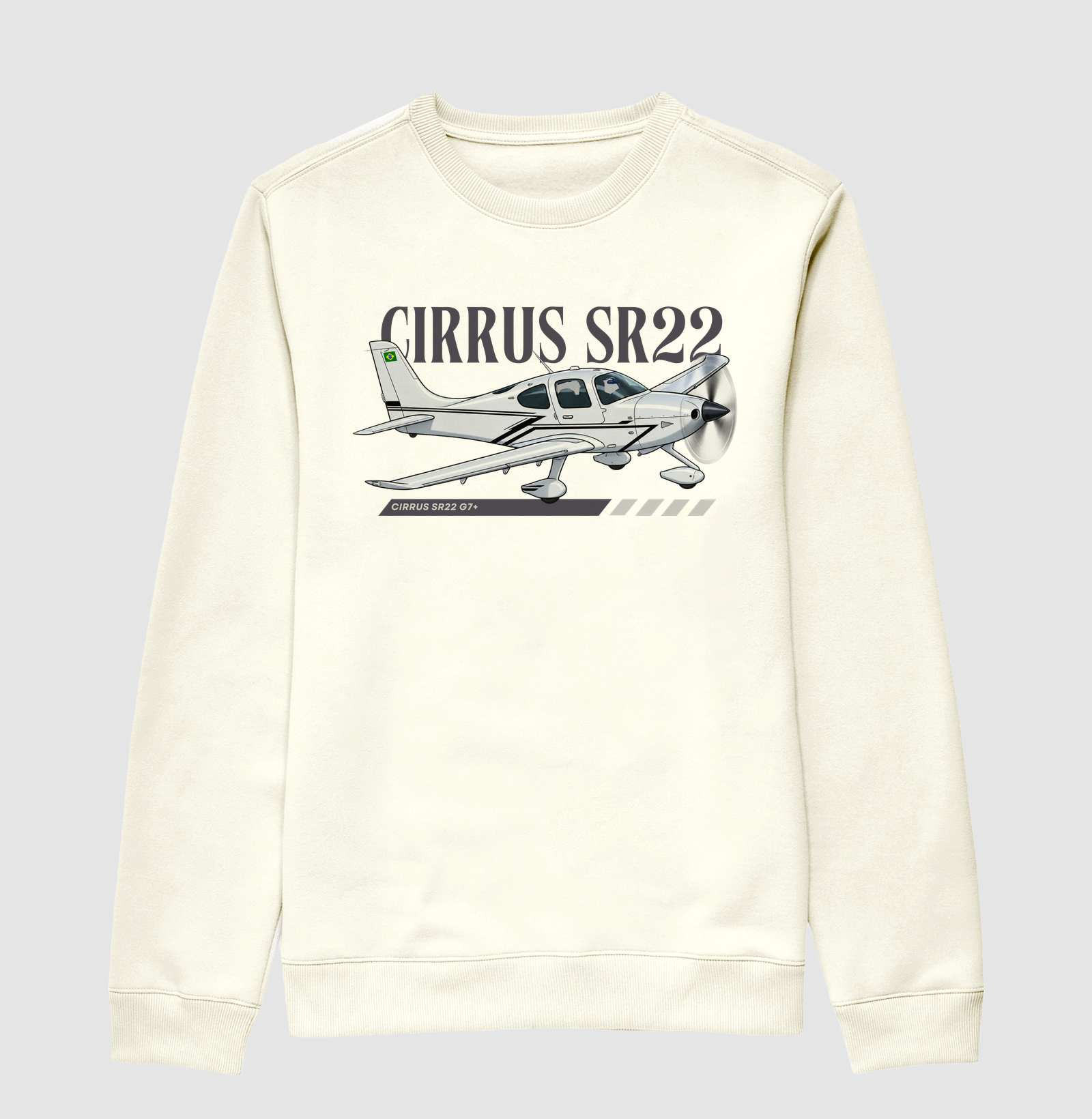 Cirrus SR22 G7+ - Imagem 2