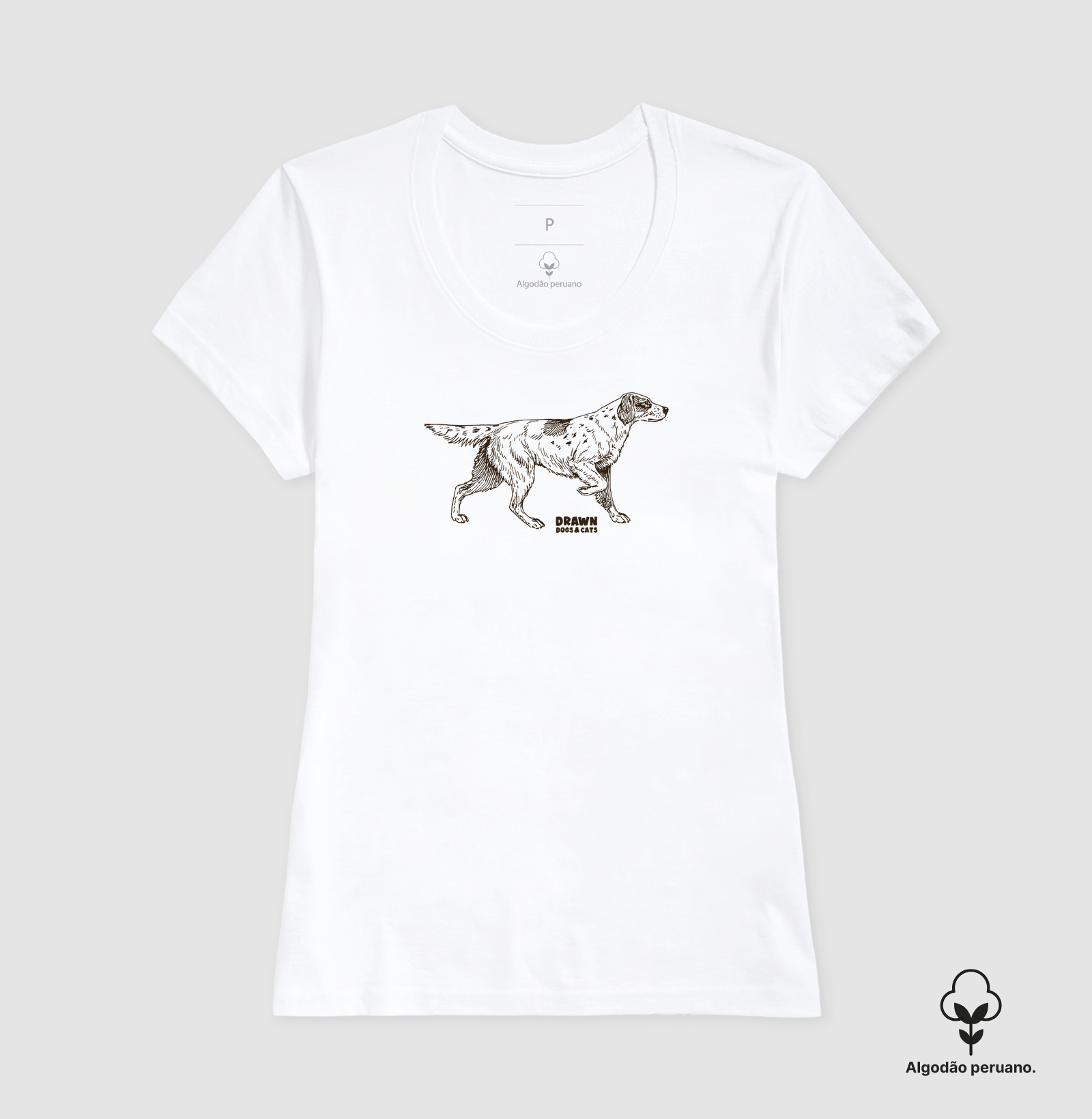 Setter inglês - Imagem 4