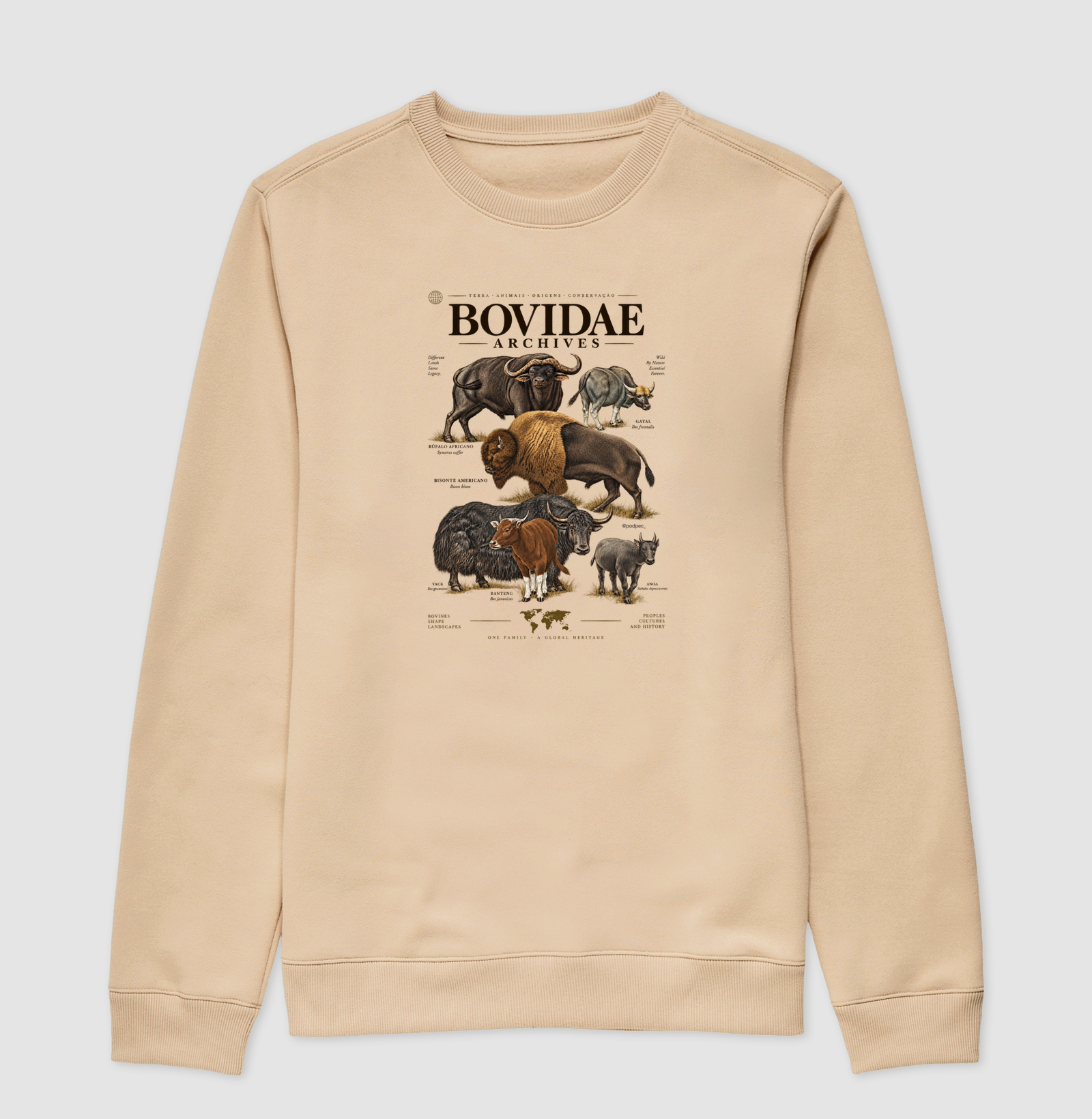Bovidae Archives - Imagem 3