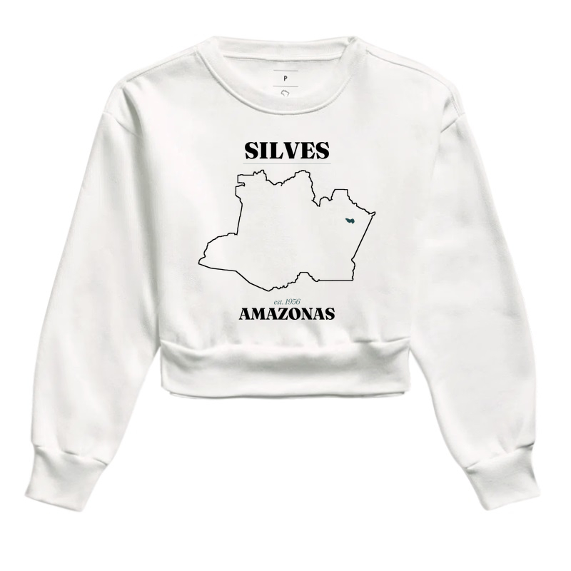Silves | Legado AM - Imagem 3