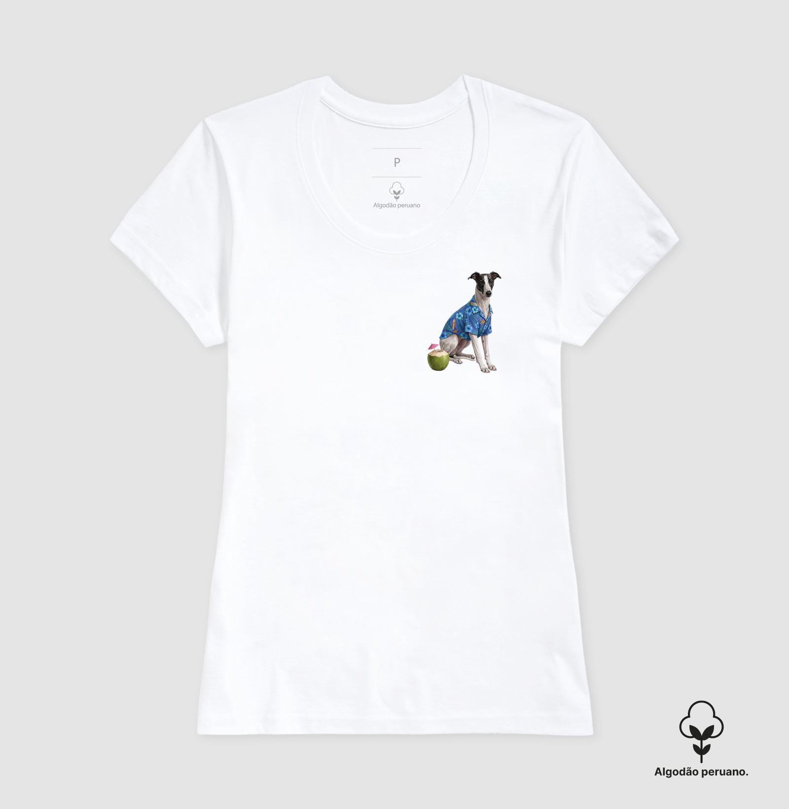 Camisa 6