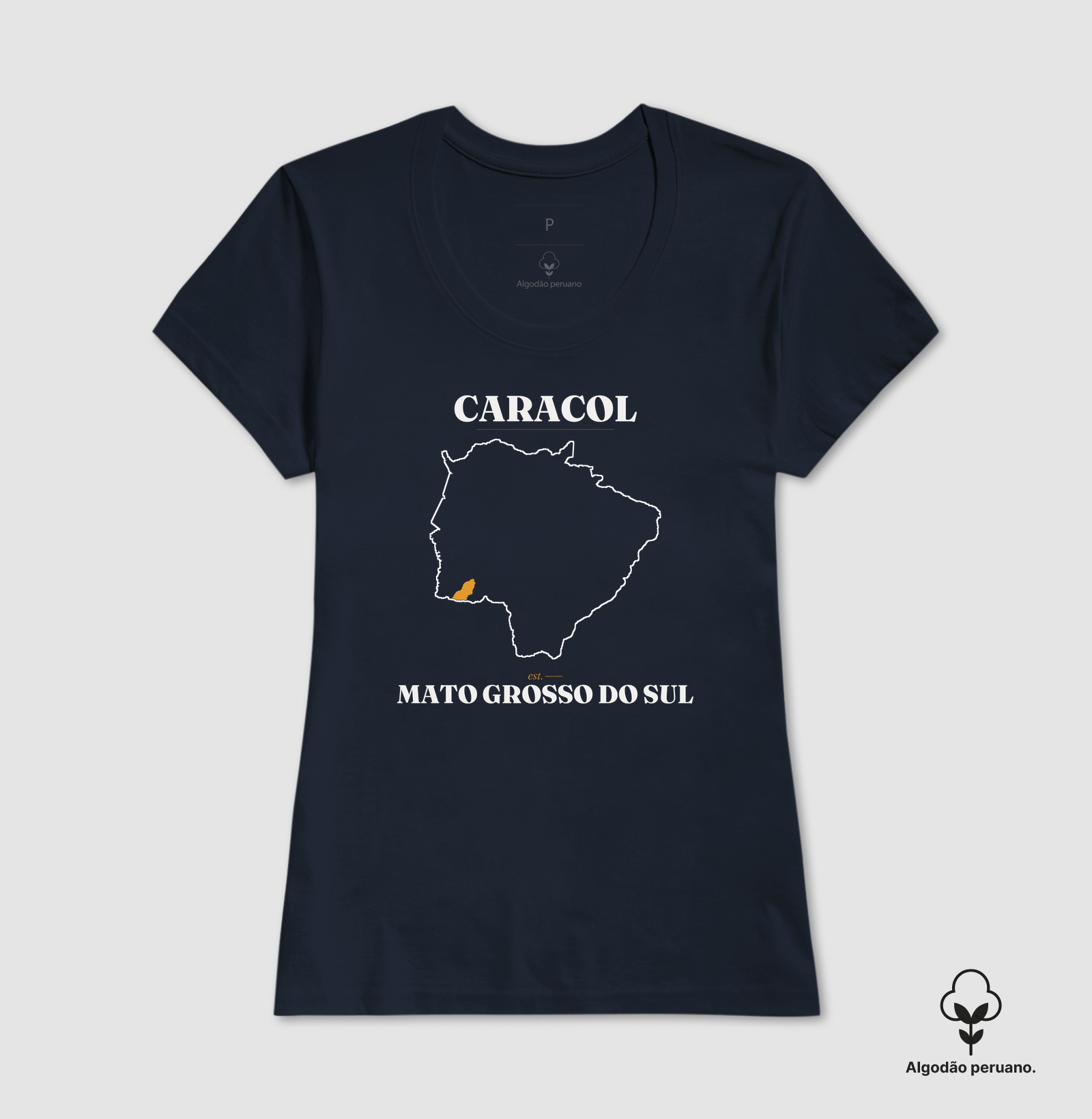 Caracol | Legado MS - Imagem 7