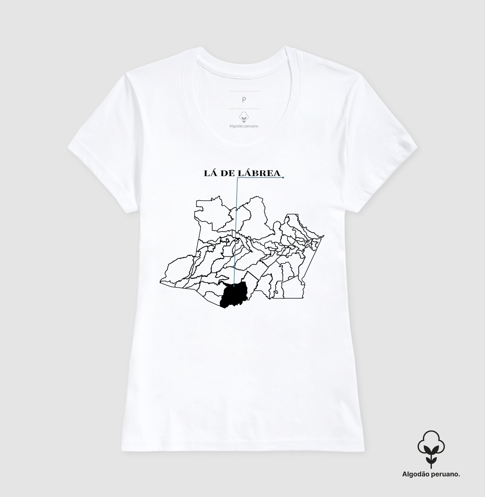Lábrea | Origem AM - Imagem 7