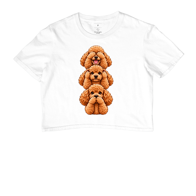 Ver, ouvir e falar versão Poodle - Imagem 3