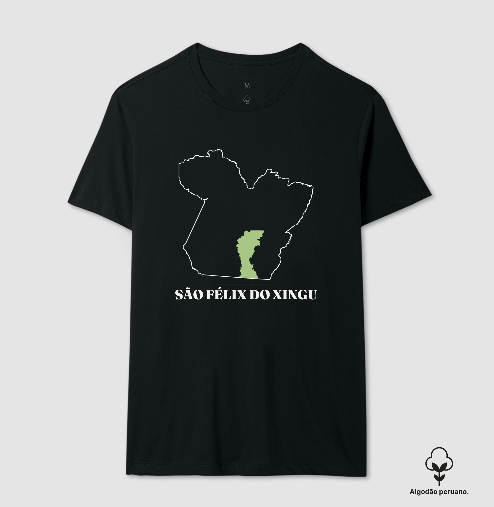 São Félix do Xingu | Traço PA - Imagem 6