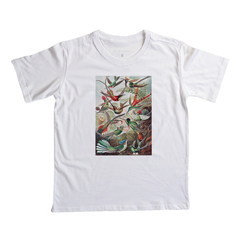 Kolibris - Imagem 4