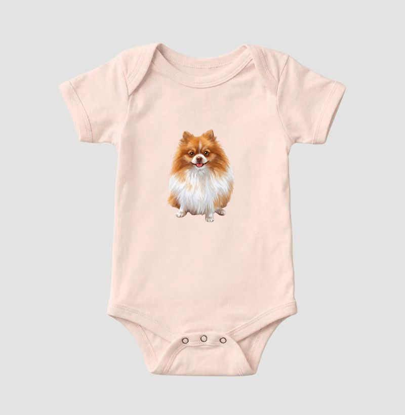 Pomerânia Laranja e Branca Minimalista - Imagem 5