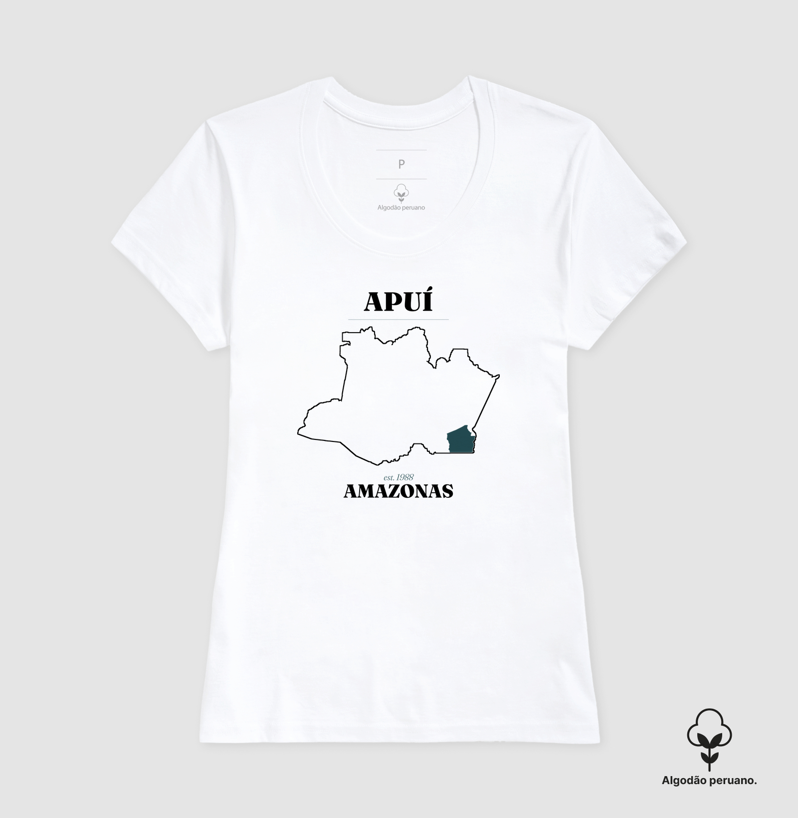Apuí | Legado AM - Imagem 7