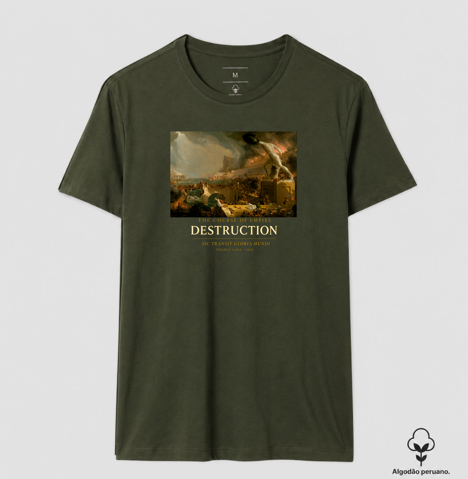 Camisa 1