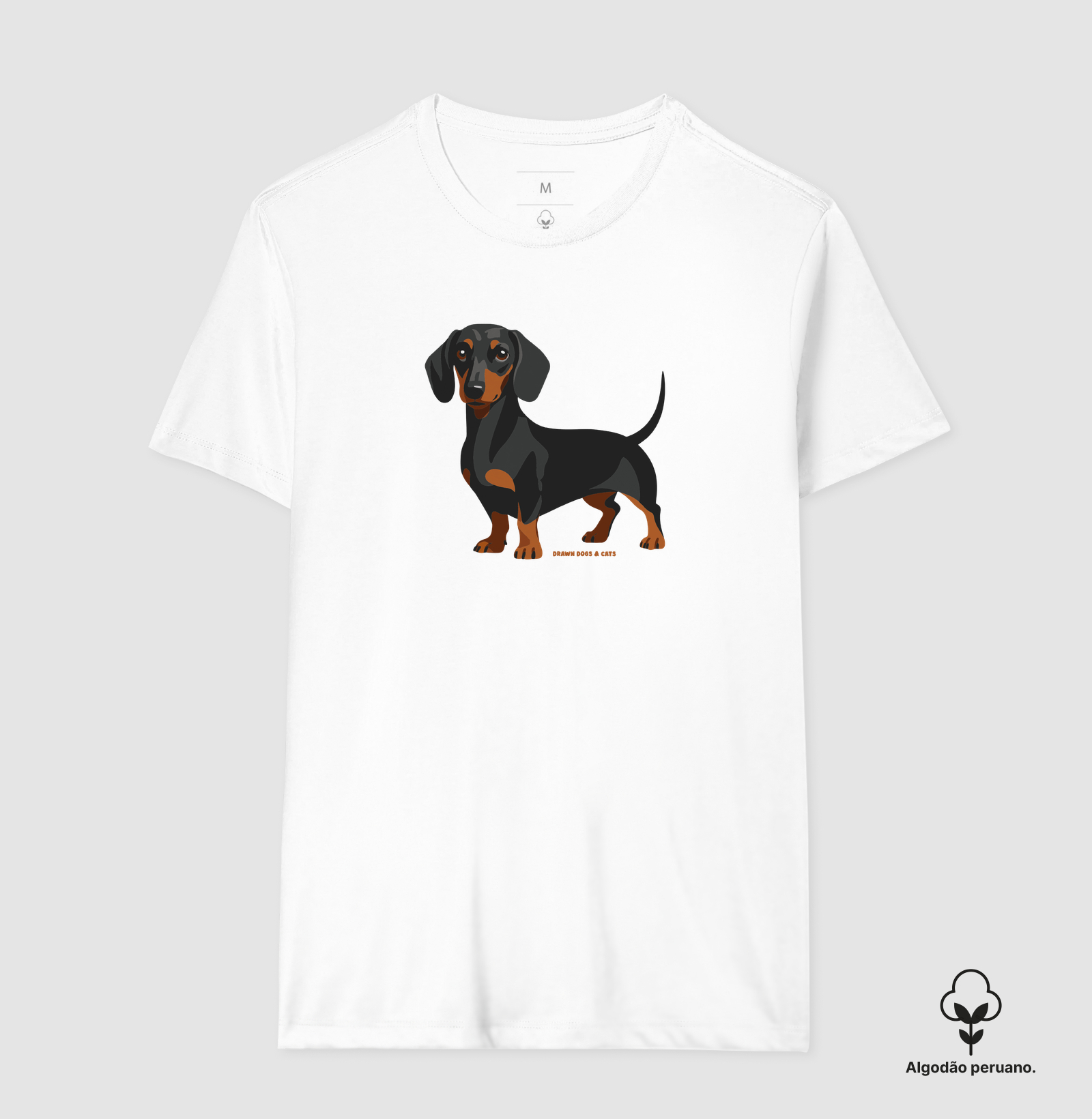 Dachshund - Imagem 2