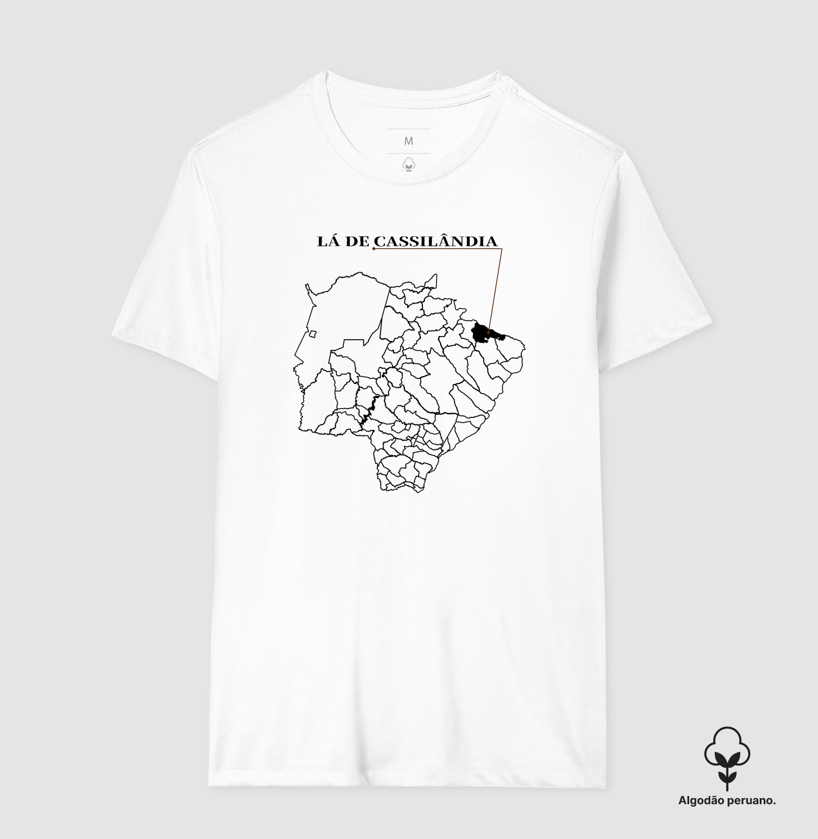 Cassilândia | Origem MS - Imagem 5