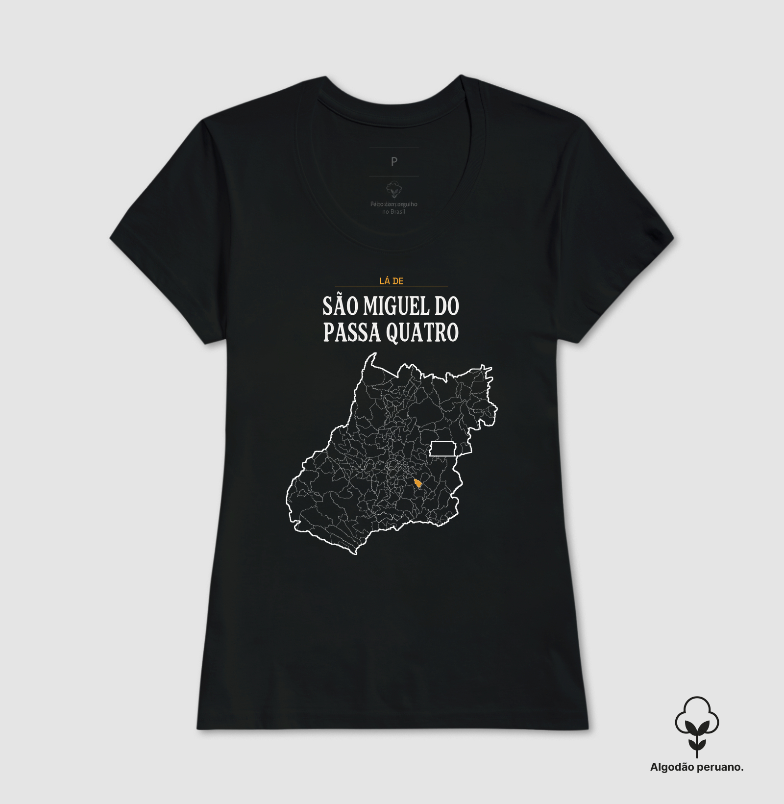 São Miguel do Passa Quatro | Território GO - Imagem 2