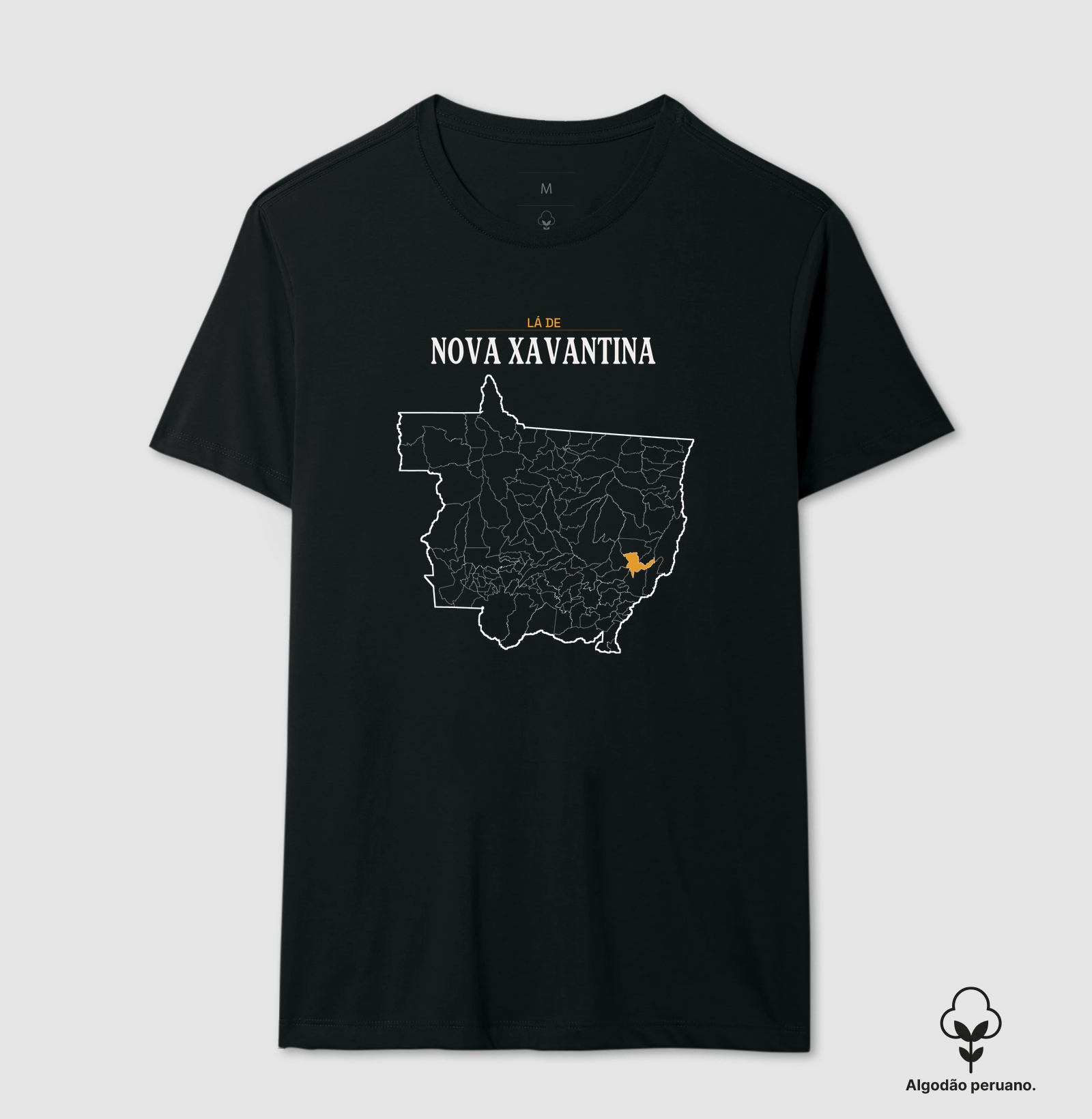 Nova Xavantina | Território MT - Imagem 2