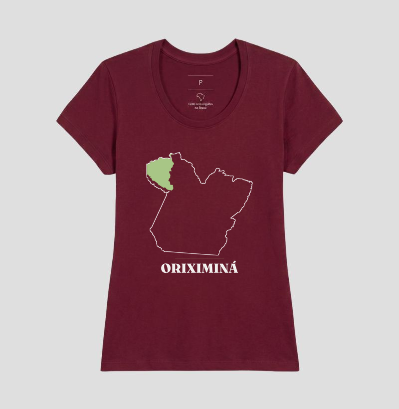 Oriximiná | Traço PA - Imagem 19