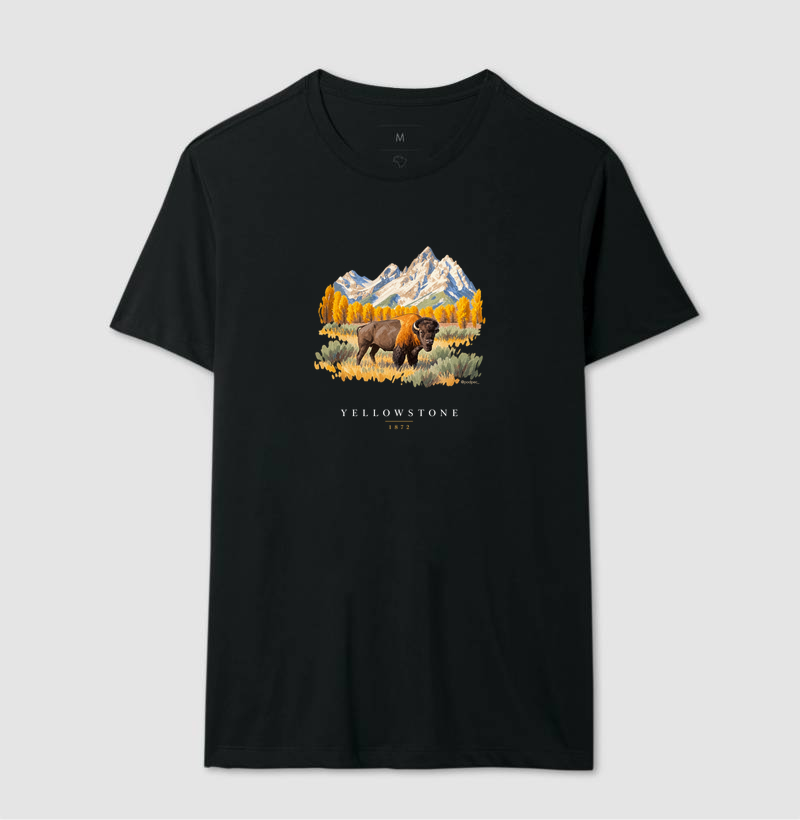Bison - Yellowstone - Imagem 2