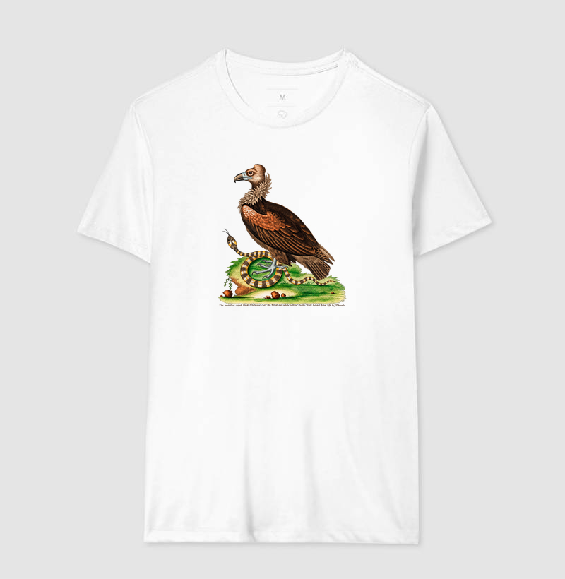 Camiseta Abutre e Serpente — História Natural do Século XVIII - Imagem 5