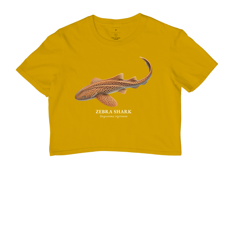 Zebra Shark - Imagem 11