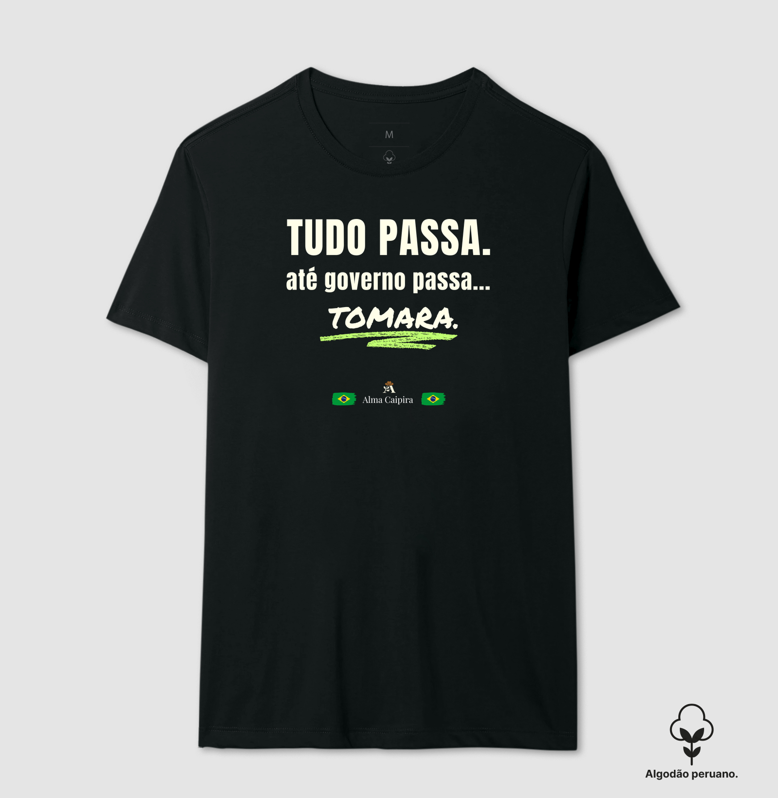 Tudo passa, até governo passa... tomara - Imagem 3