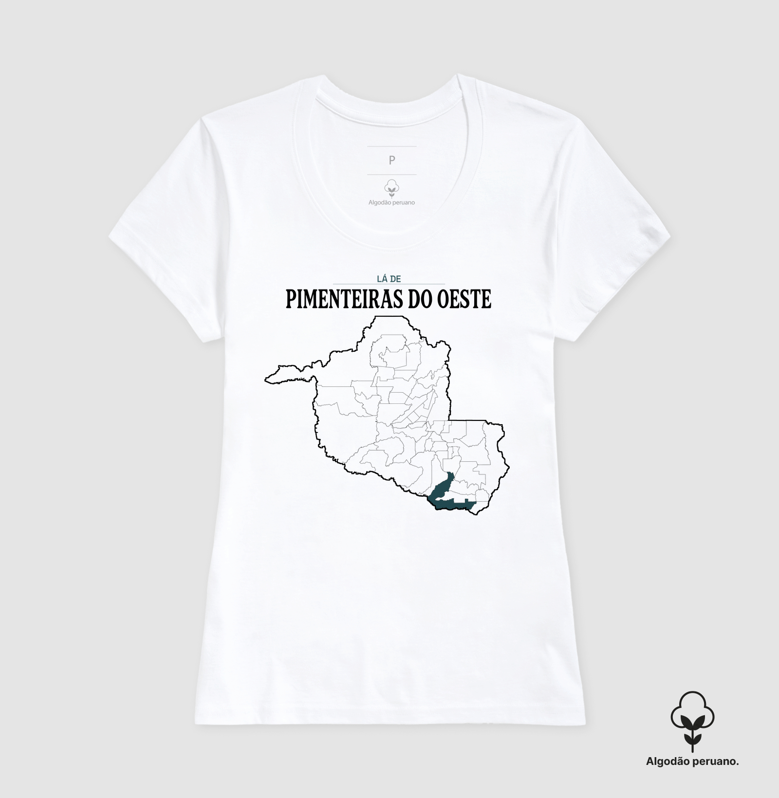 Pimenteiras do Oeste | Território RO - Imagem 6