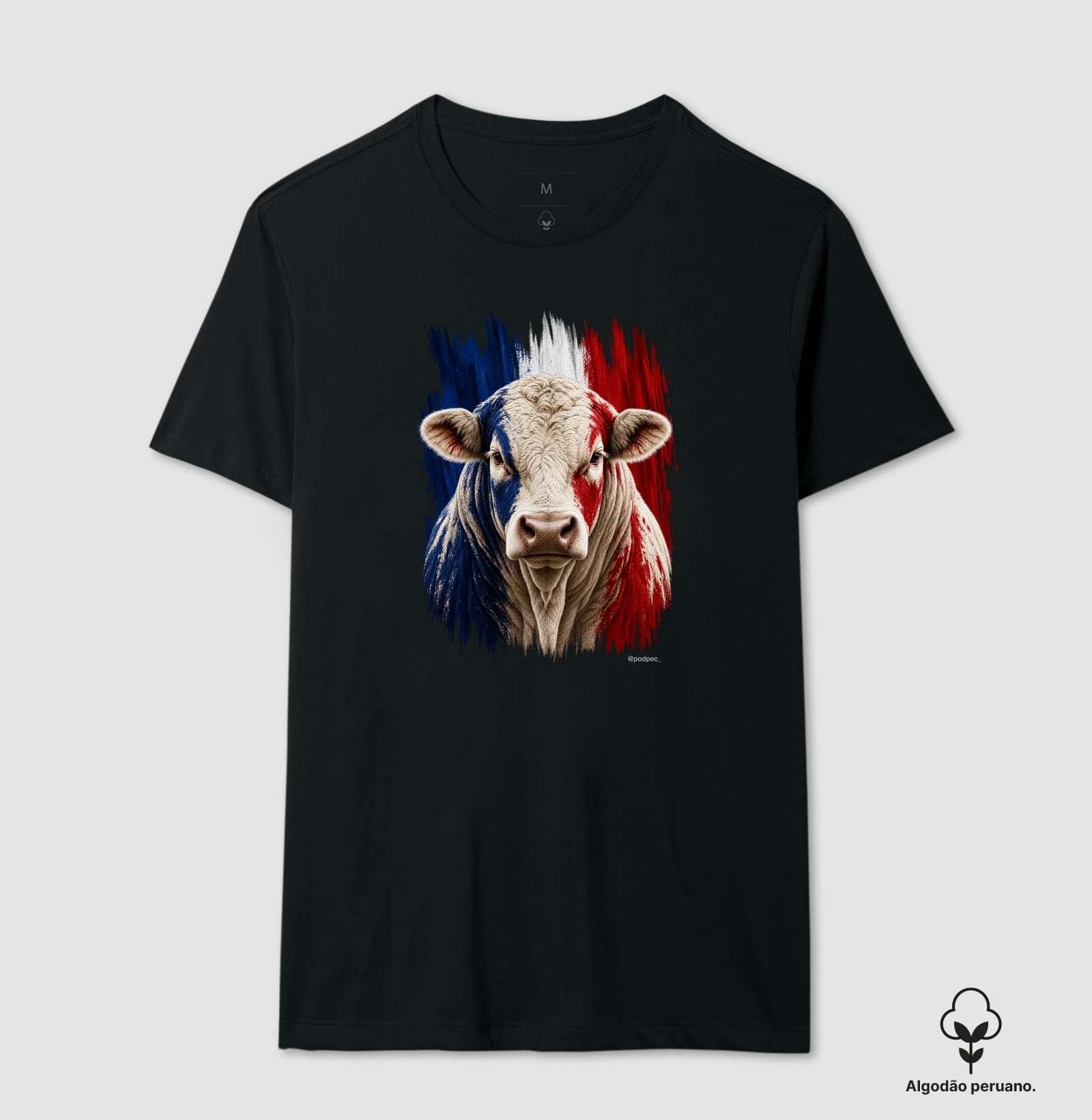 Charolês da França - Imagem 3