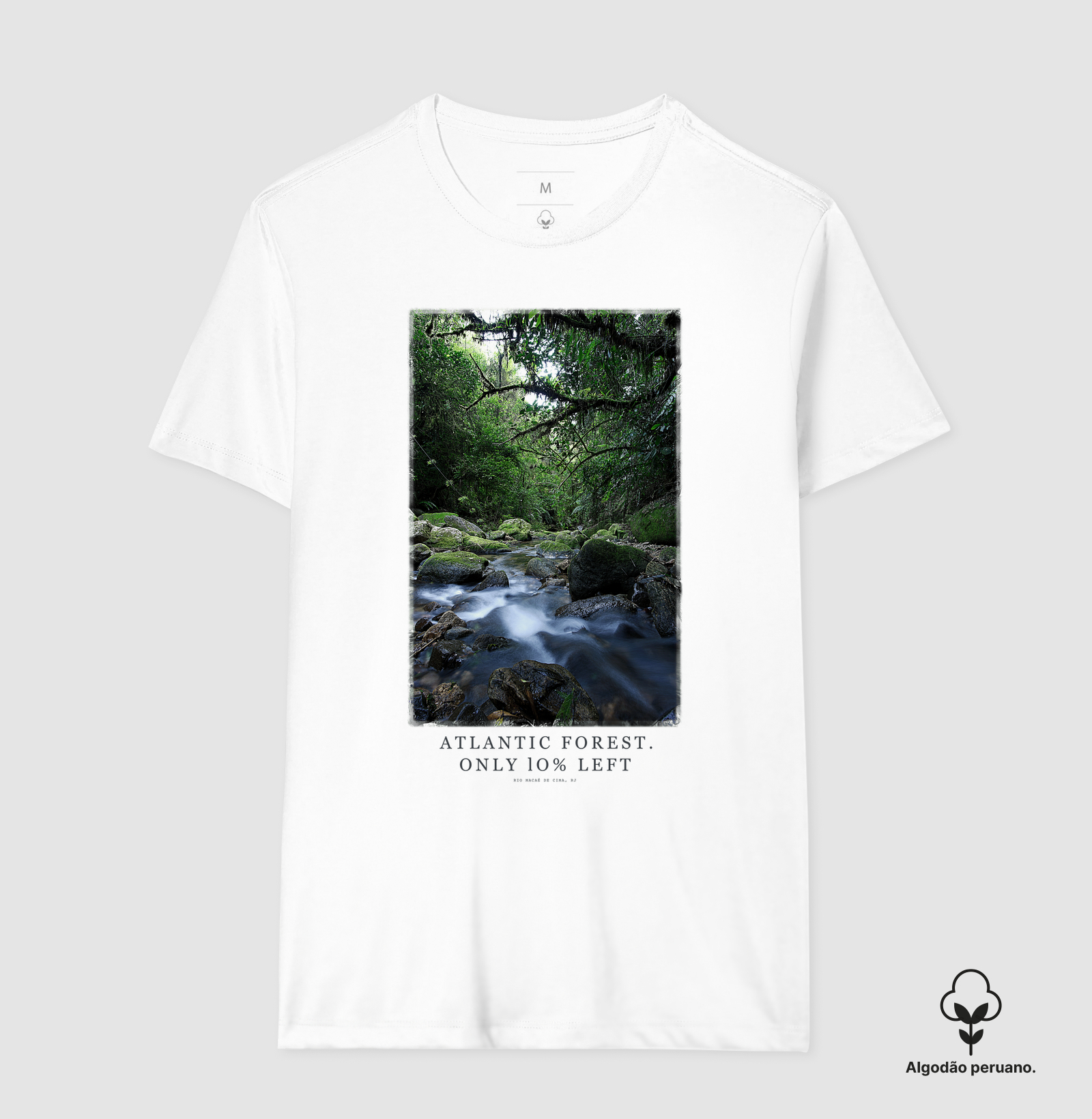 Atlantic Forest - Imagem 2