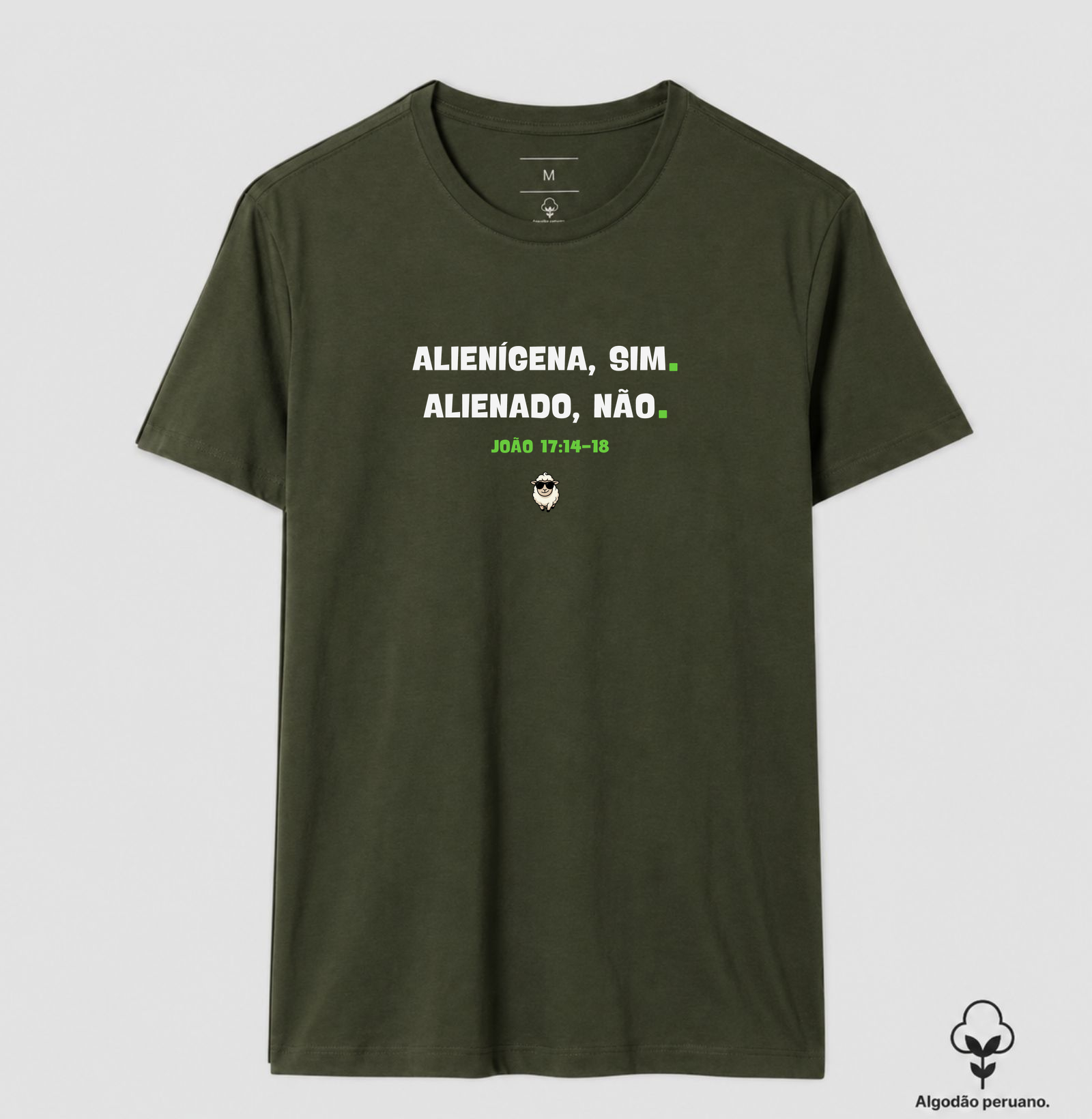 ALIENÍGENA SIM, ALIENADO NÃO - Imagem 5