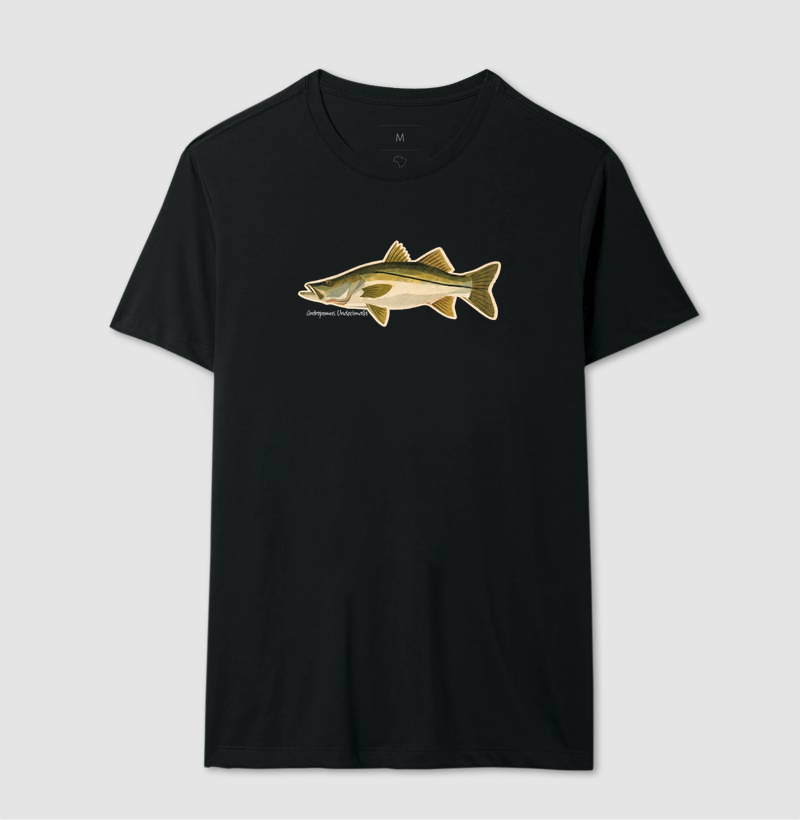 Robalo - Imagem 2