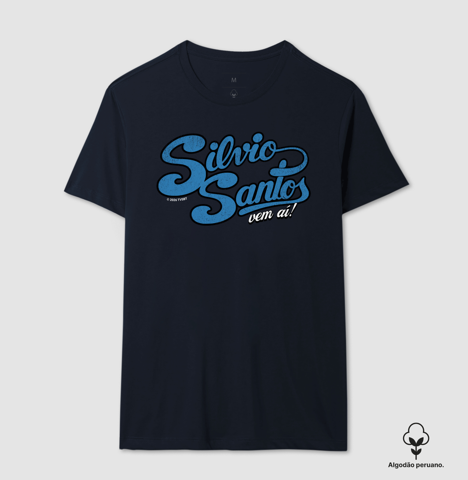Silvio Santos vem aí! - Imagem 8
