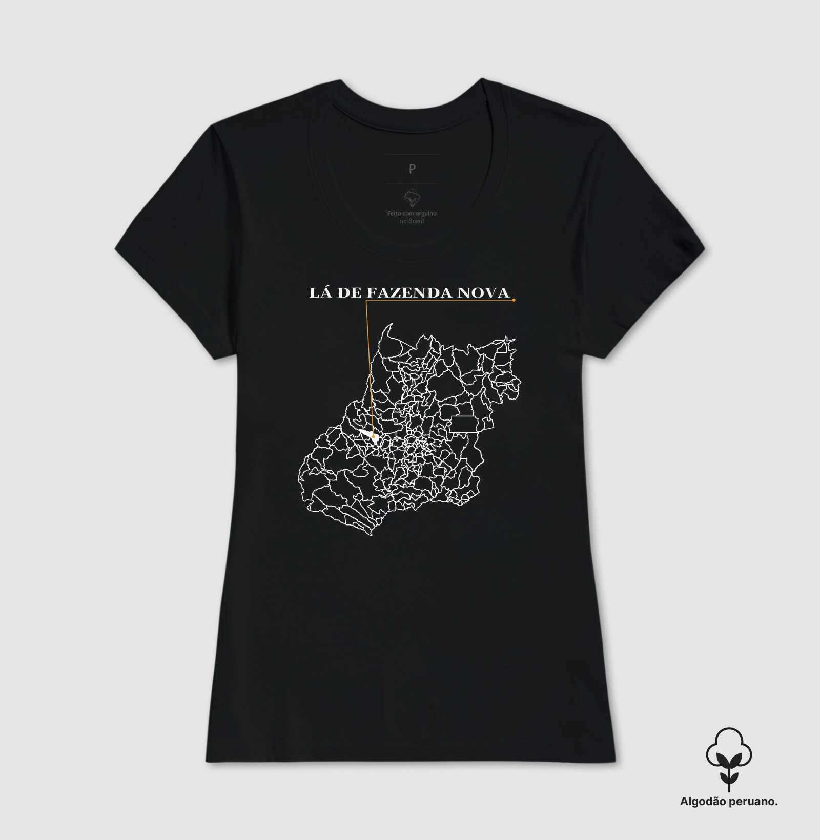 Fazenda Nova | Origem GO - Imagem 4